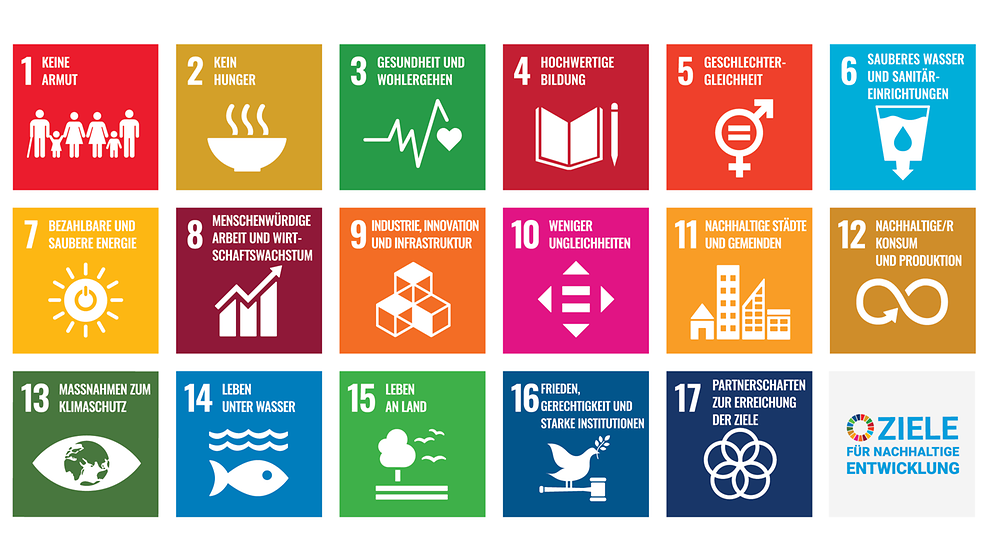 Lesen Sie mehr über die SDGs